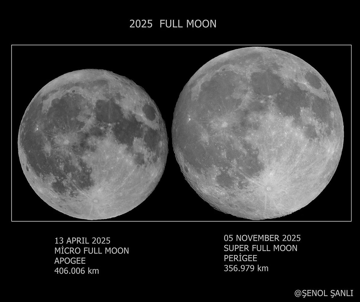 Micro Moon vs. Super Moon