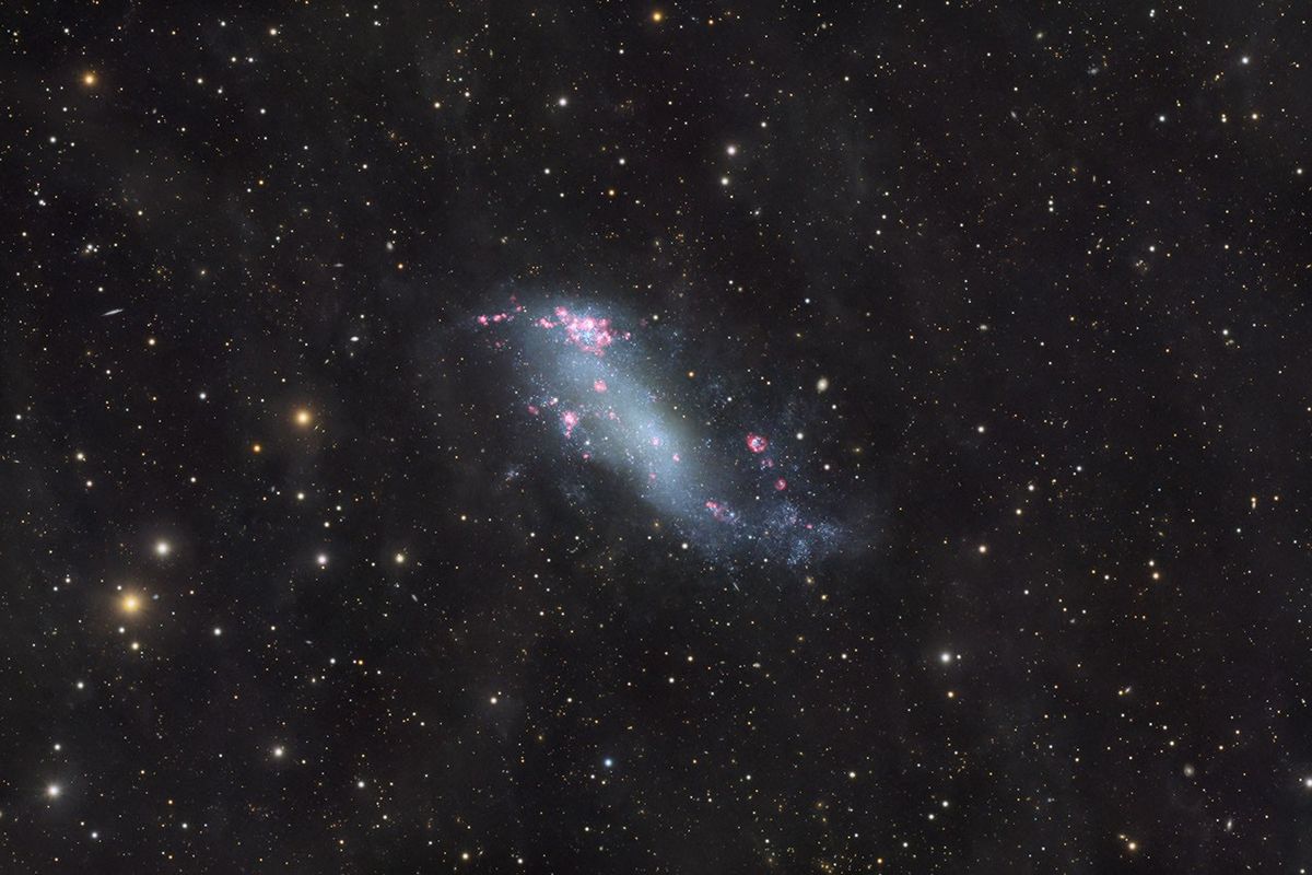 IC 2574: Coddington's Nebula