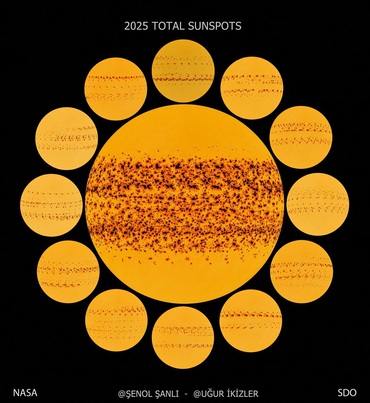 A Year of Sunspots