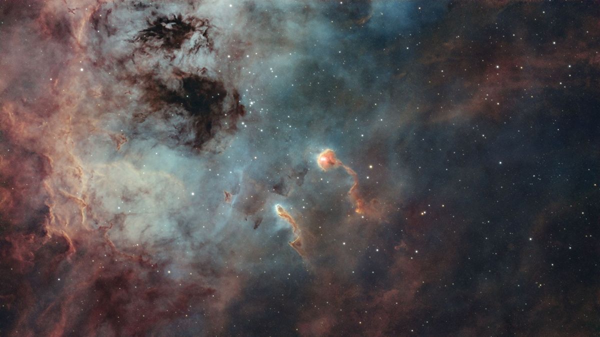 The Tadpoles of IC 410