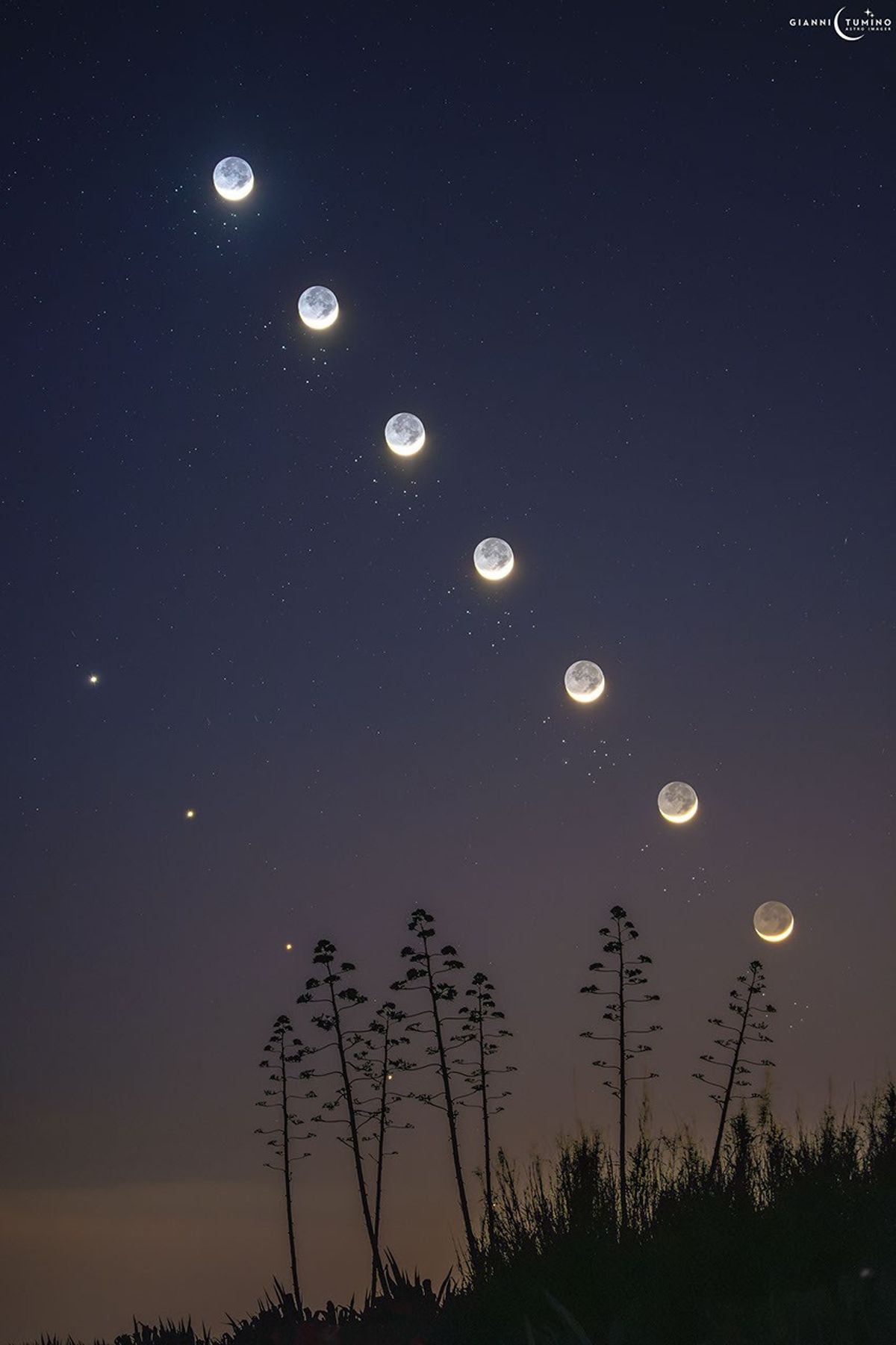 The Moon, Venus, and the Pleiades